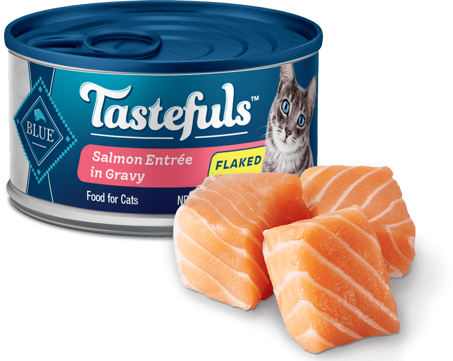 BLUE Buffalo Tastefuls Flaked Salmon In Gravy - Adult Cat
